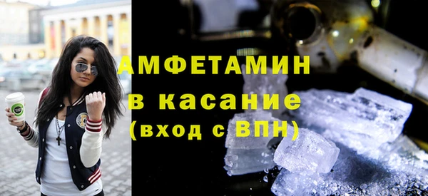 сатива Надым