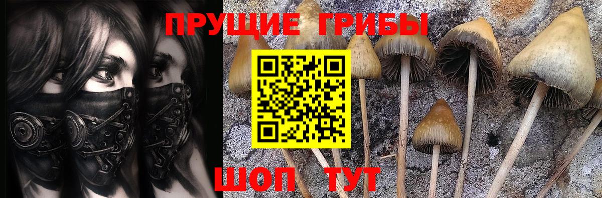 Псилоцибиновые грибы мухоморы  Вход с VPN  Псилоцибиновые грибы Psilocybine cubensis  Шумерля 